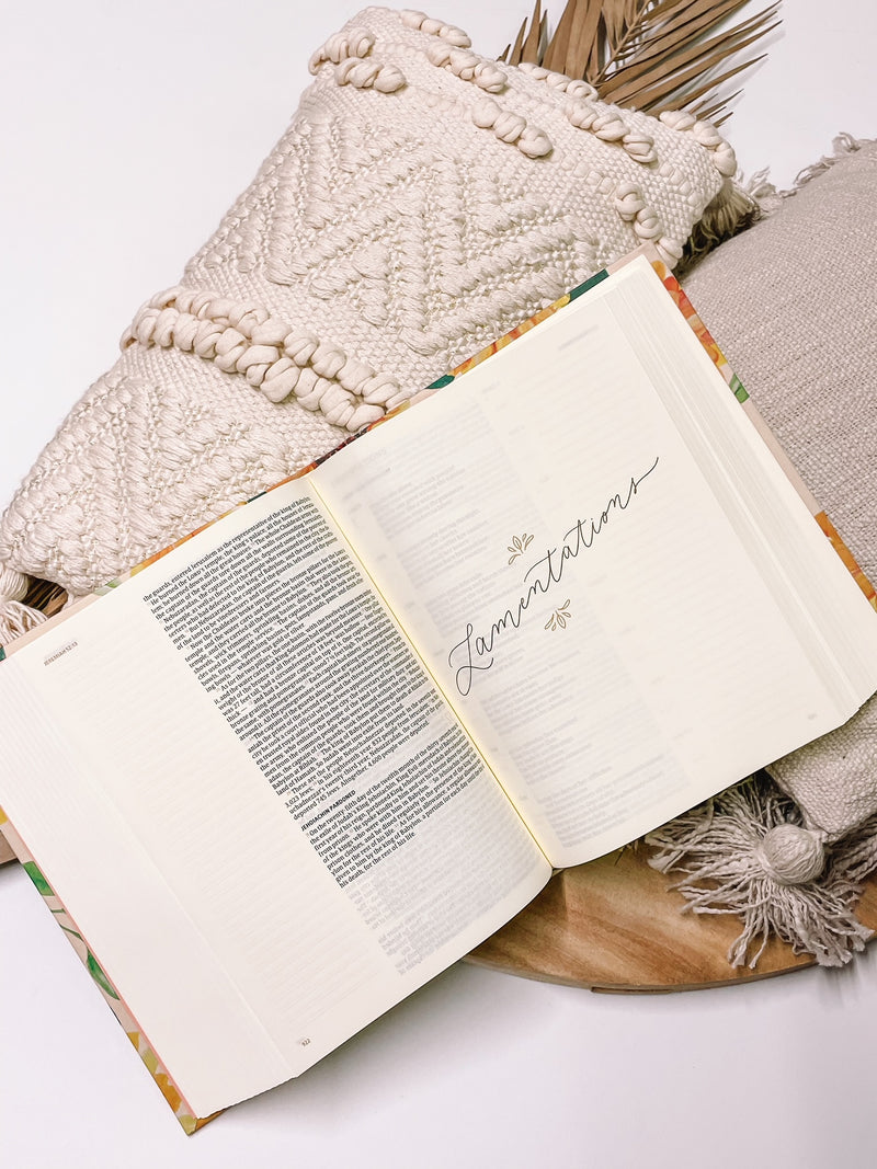 CSB Notetaking Bible | Savannah Theme