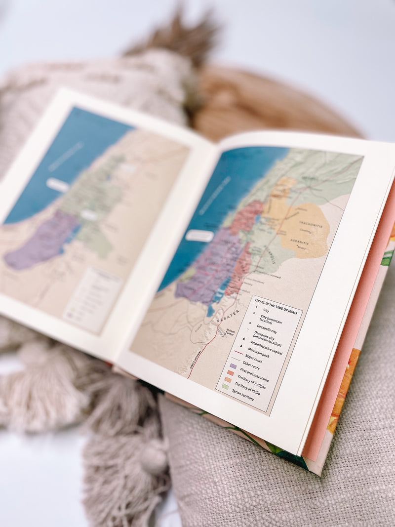 CSB Notetaking Bible | Savannah Theme