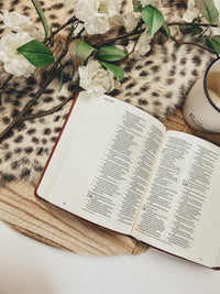 ESV Journaling Bible | Sierra Theme
