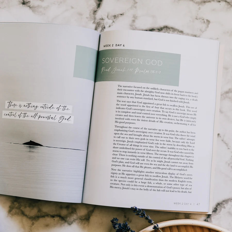 Mercy In The Storm | Jonah